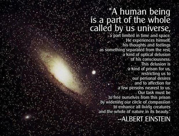 Einstein_human_univers.jpg