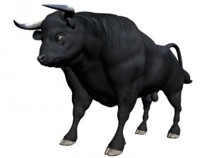 Rishava_1.jpg
