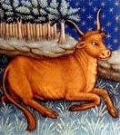 Bull.jpg