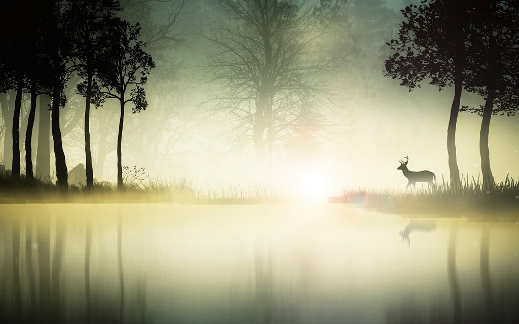 Ketu_fogDeer.jpg