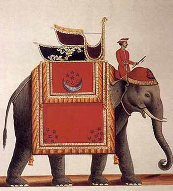 elepha_Steuart_gajah_roha.jpg