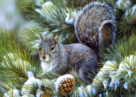 SquirrelSnow.jpg