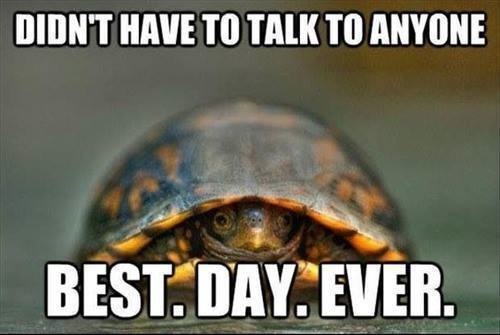 turtleNoTalk.jpg