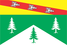 Flags/Vosges_flag.png
