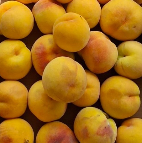 Fruit_Gu_peaches.jpg