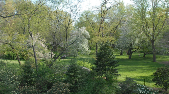 GreenPark_NY.jpg