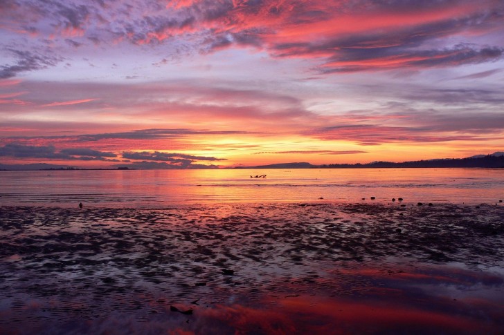 Beach_pink_Coast.jpg