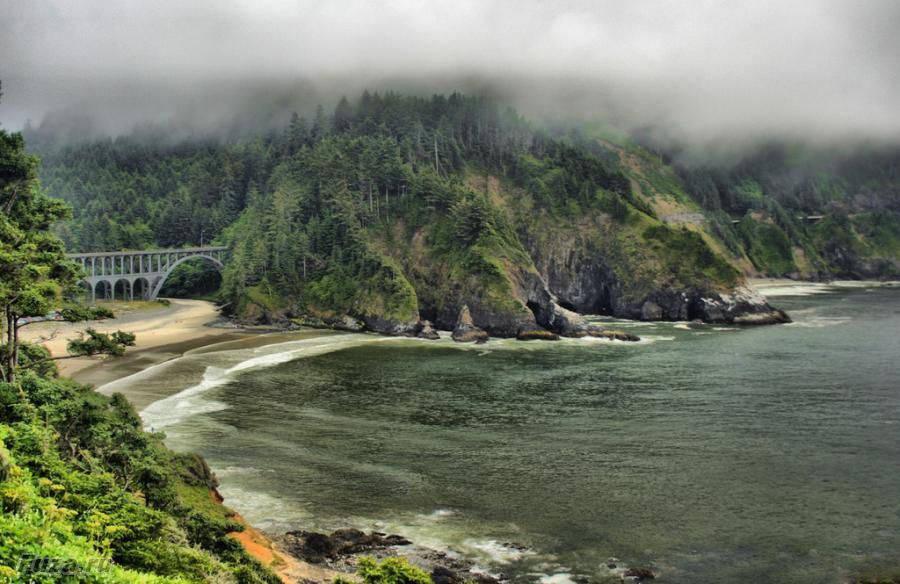 OregonCoastRoadFoggy.jpg