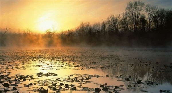 SuryKetu_mistyScatterSun.jpg