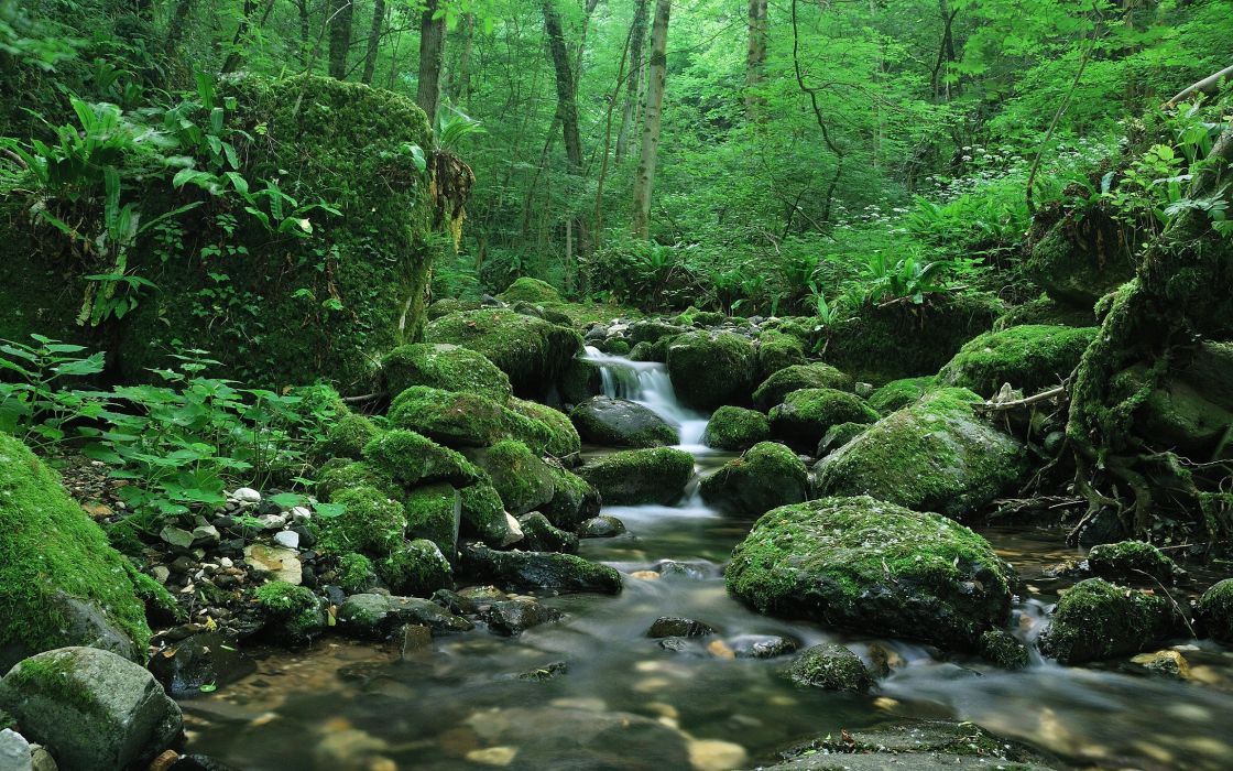 GreenHeadwaters.jpg