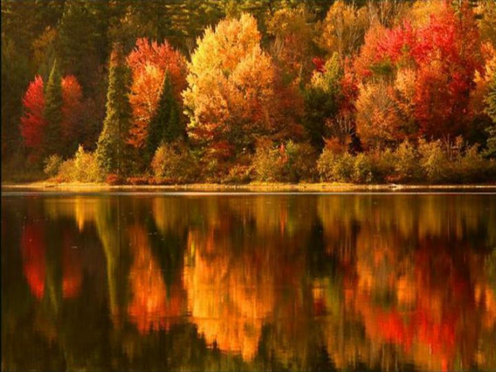River_StillAutumnTrees.jpg