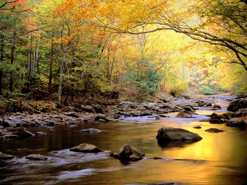 GoldnWatersGreatSmokyMtTenn.jpg