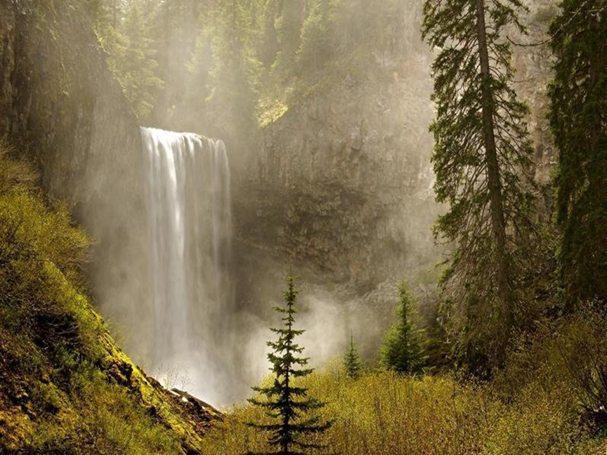 TamawanasFallsMtHoodNatPark.png