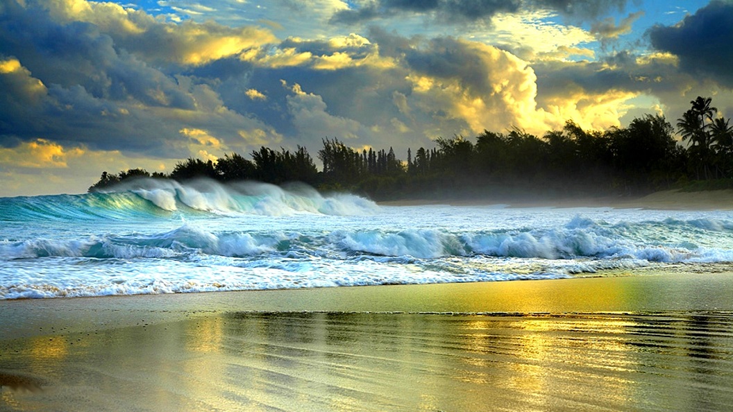 Wave_GoldenWaves.jpg