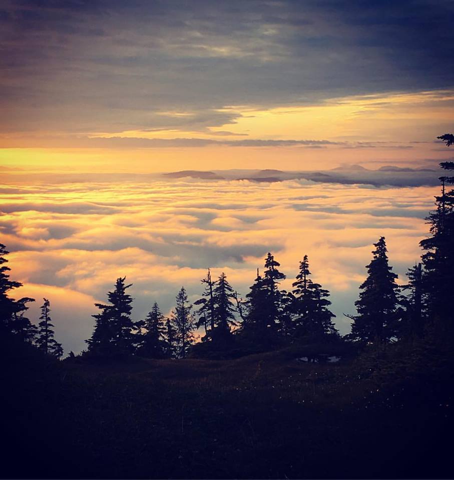 Clouds_Forest.jpg
