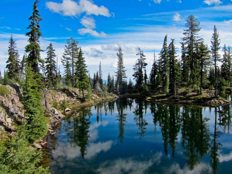 Klamath-Mountains-Ecoregion_USFS.jpg