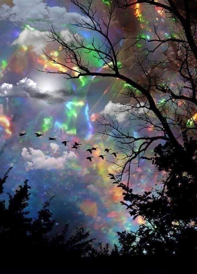 Aky_RainbowScatterSky.jpg