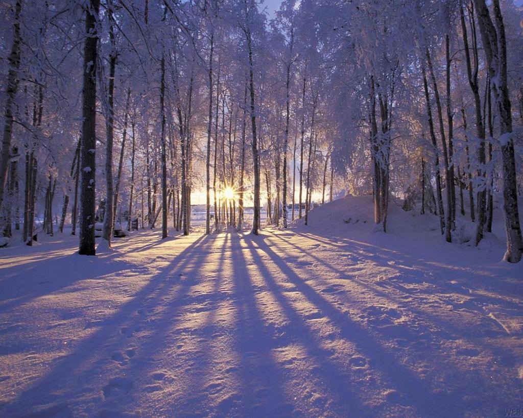 Sun_SnowyLow.jpg