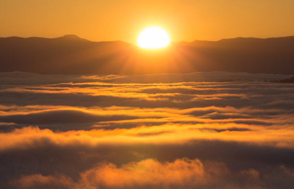 goldensunrise.jpg