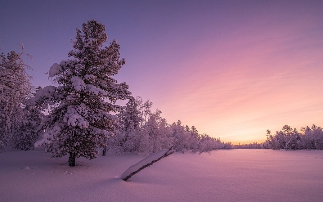 Surnrisepuriplesnow_morning.jpg