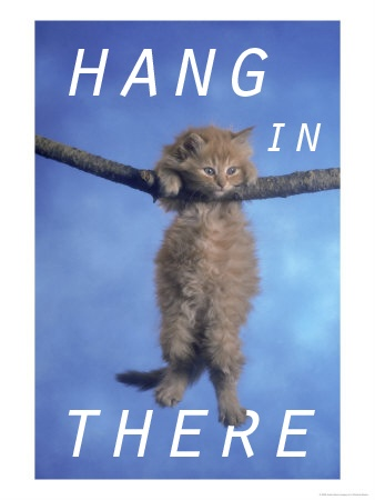 HangInThere.png