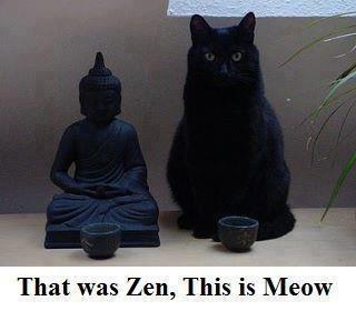 Zen_Meow.jpg